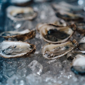Oysters